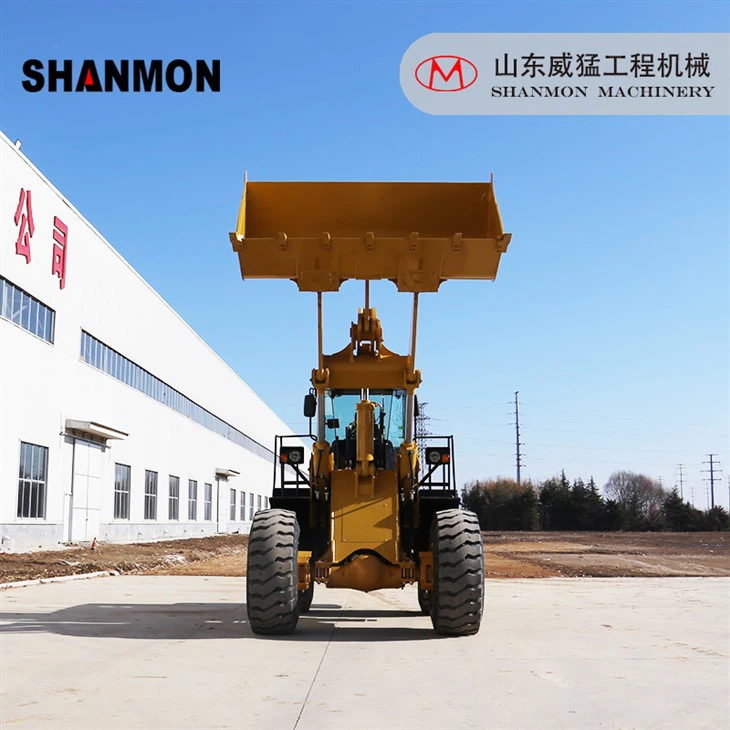 5 Ton Popular Wheel Loader